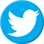 logo twitter